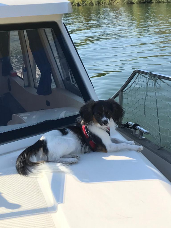 Priam en bateau sur la Sarre Priam en bateau sur la Sarre