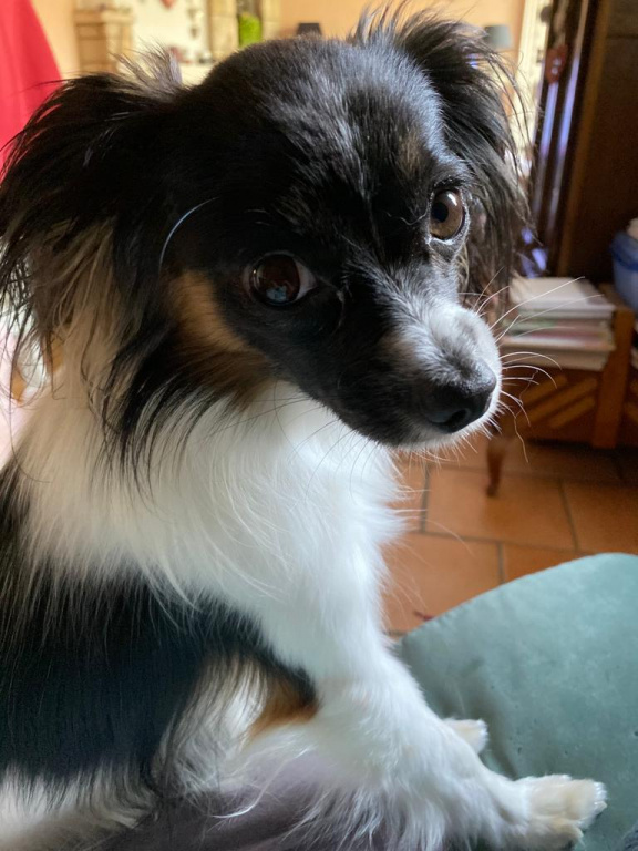 Priam vous dit "bonjour" ! Priam vous dit "bonjour" !