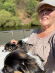 Monique et ses amours