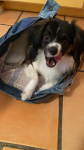 Trop belle la vie !