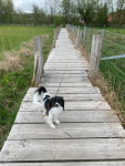 Priam sur un chemin