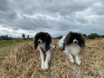 Sur la terre ferme