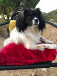 Principessa médite