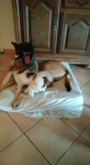 Sisco : trop belle la vie ;)